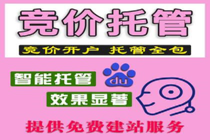 案例分析：短视频平台信息流广告效果评估
